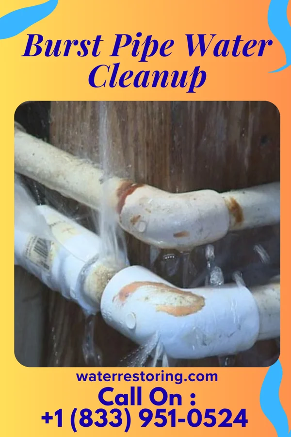 Burst Pipe Water Cleanup in Mabel, MN