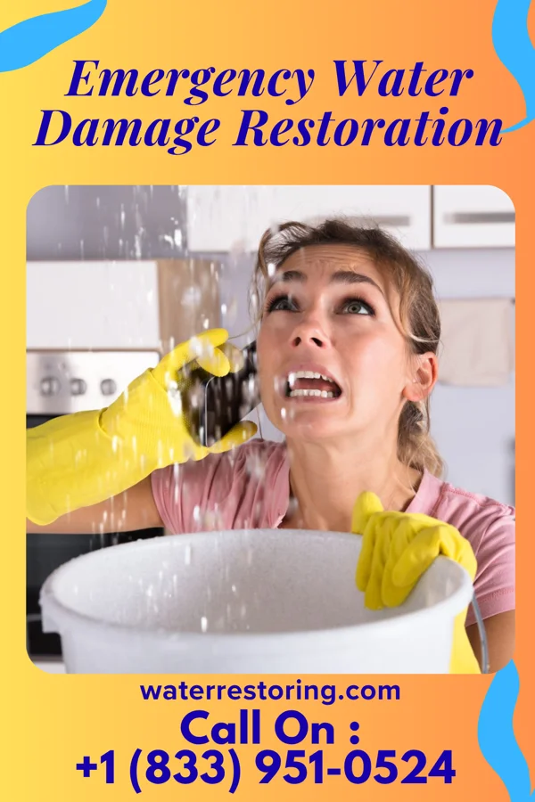 Emergency Water Damage Restoration in Mabel, MN