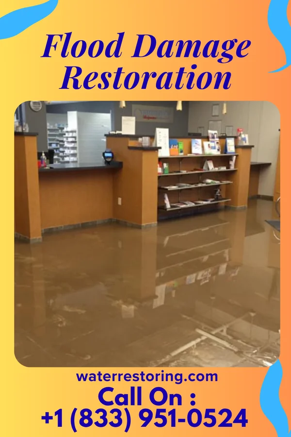 Flood Damage Restoration in Mabel, MN
