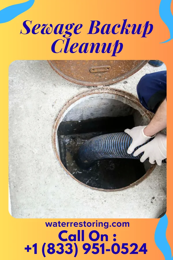 Sewage Backup Cleanup in Mabel, MN